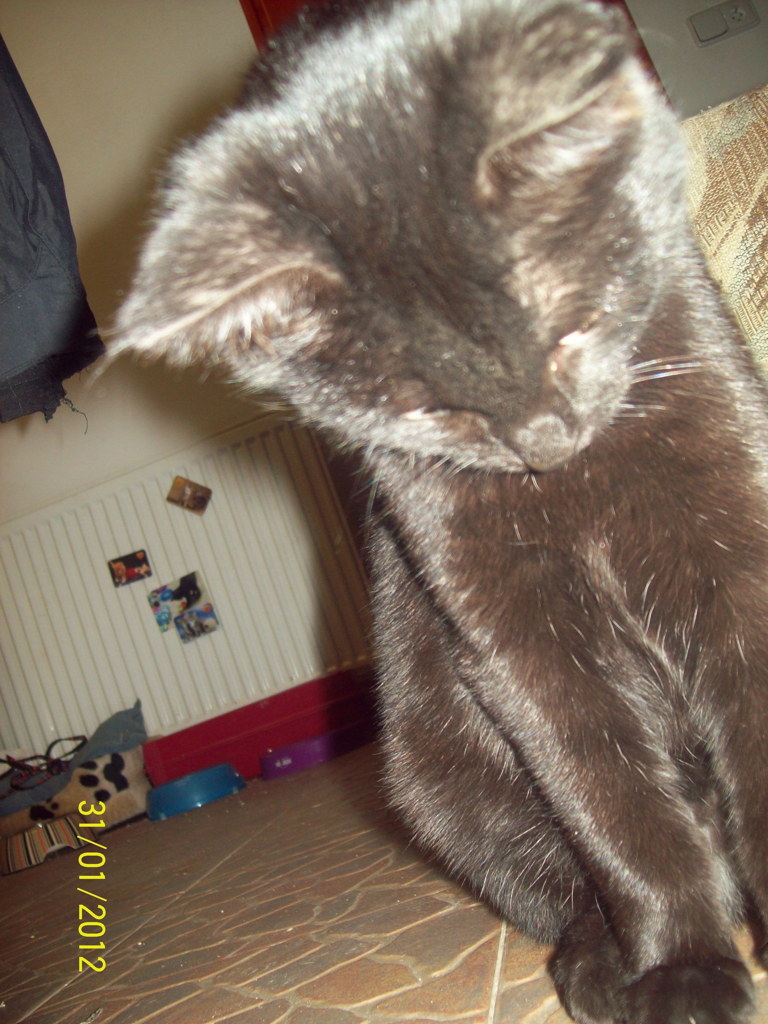 2011, 2012 028
